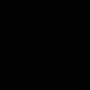 Meet your Posher, Zoe